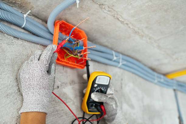 Best Electrician for Home Renovation  in Vardaman, MS
